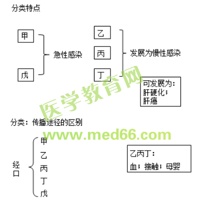 【邵啟軒】傳染病學-中西醫結合執業醫師精選課