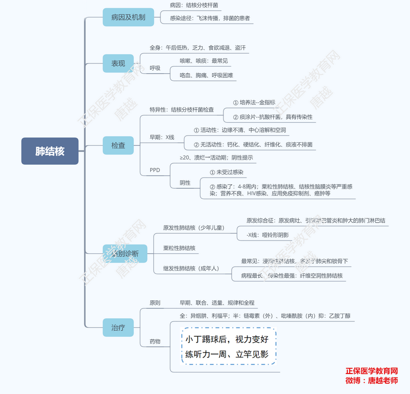 肺結核