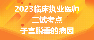 2023臨床執業醫師二試考點